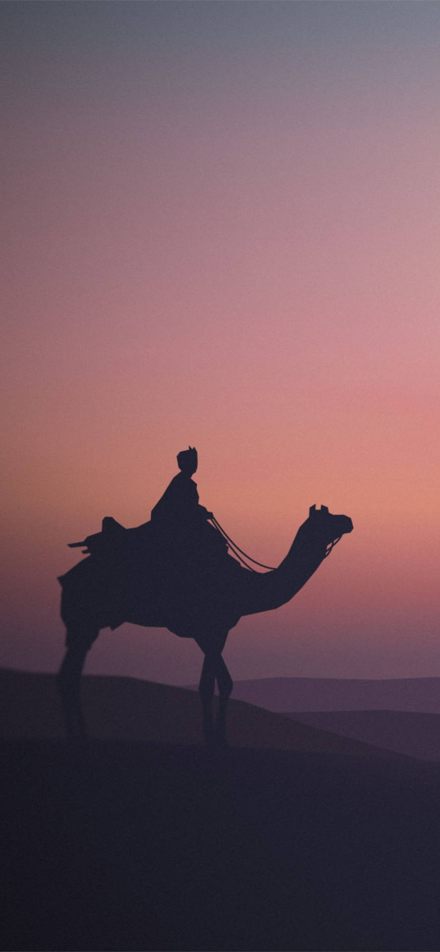 Camel In Purple Scrim Background