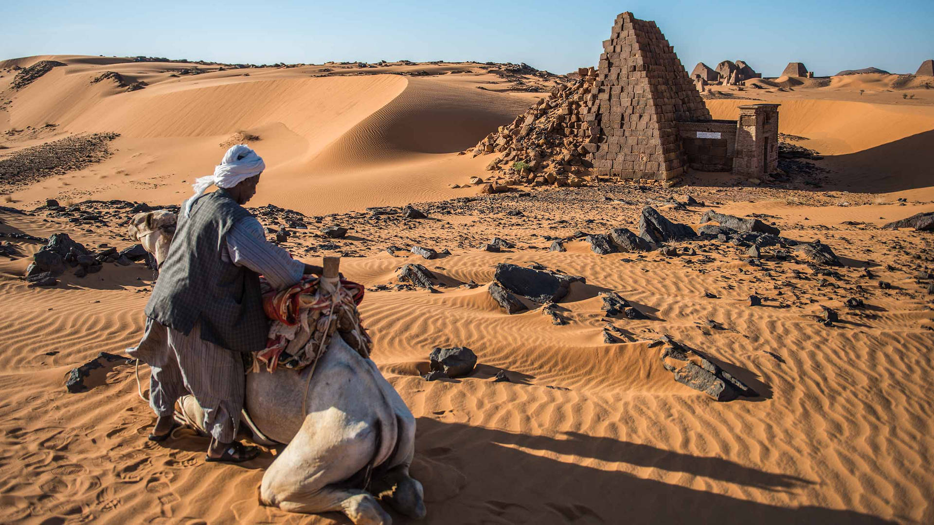 Camel In Sudan Desert Background
