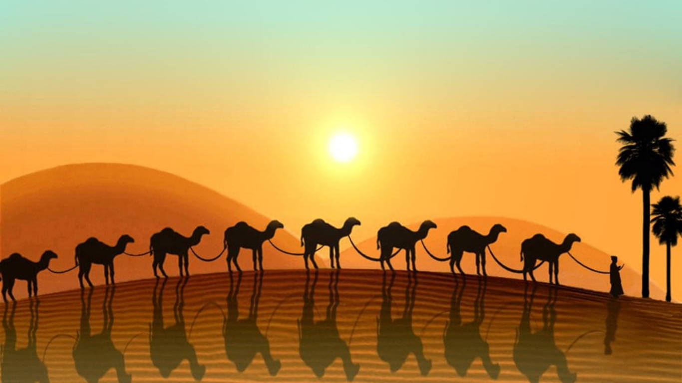 Camel Line Desert Sun Background