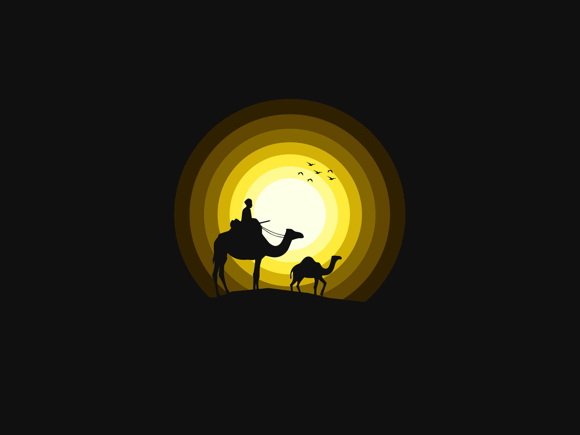 Camels Art Black Background Background