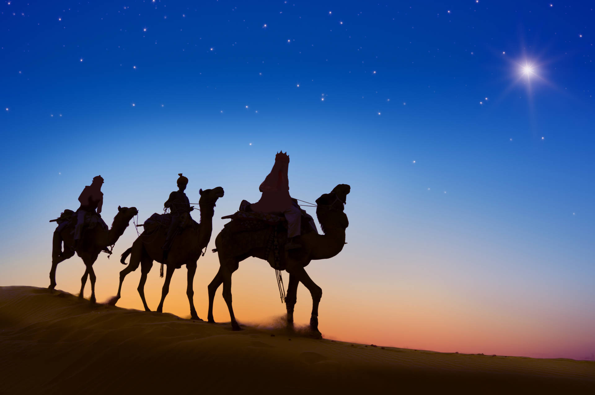 Camels At Night Background