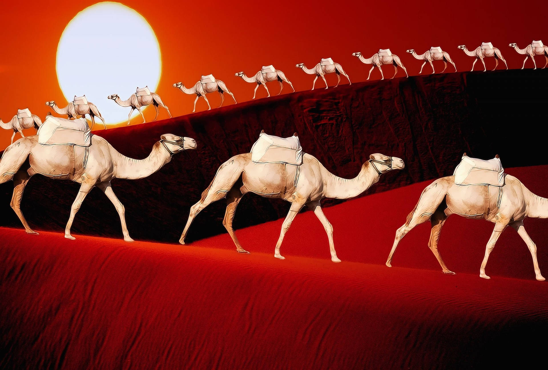 Camels Digital Art Background