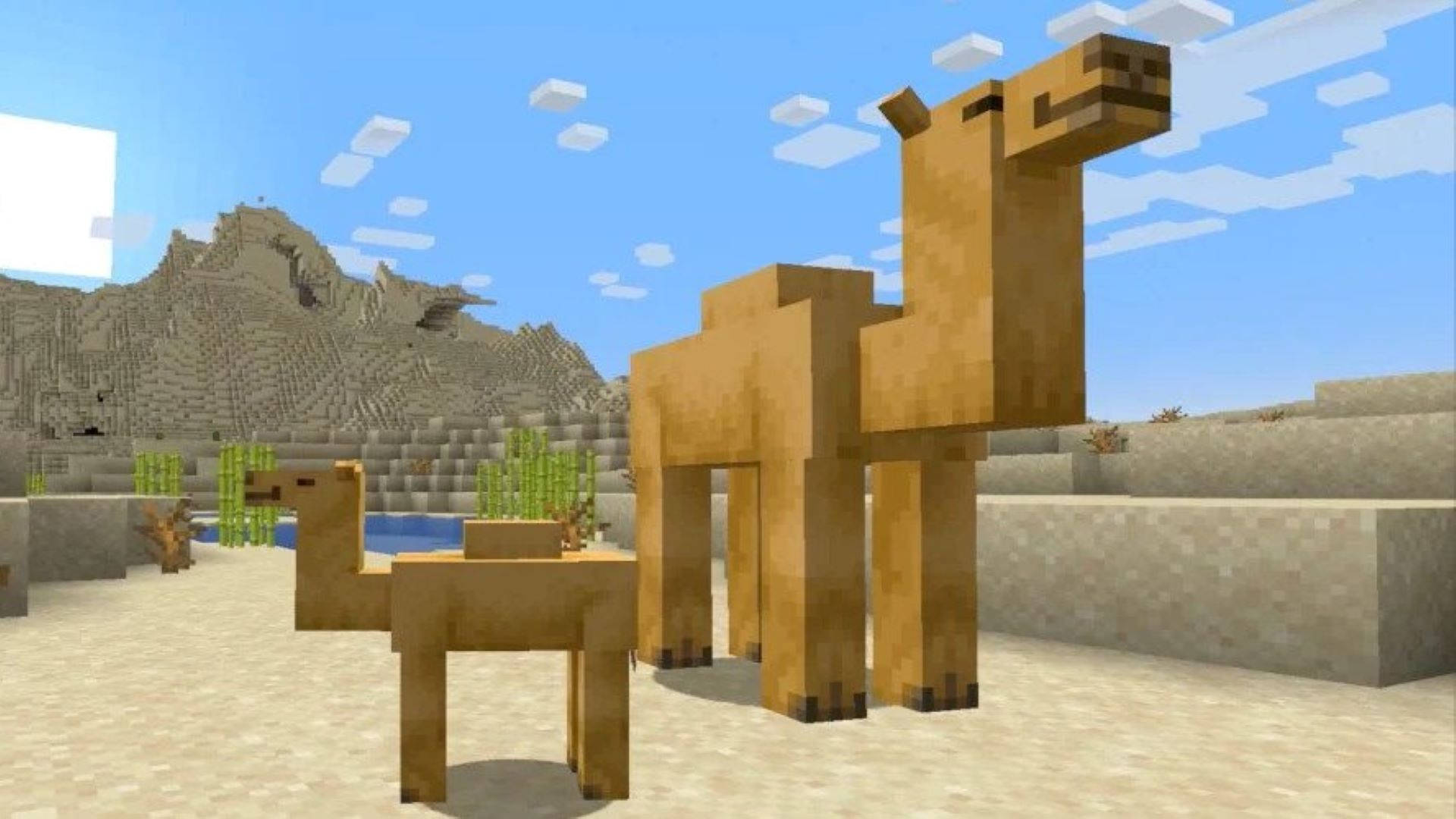 Camels In The Desert Minecraft Hd Background