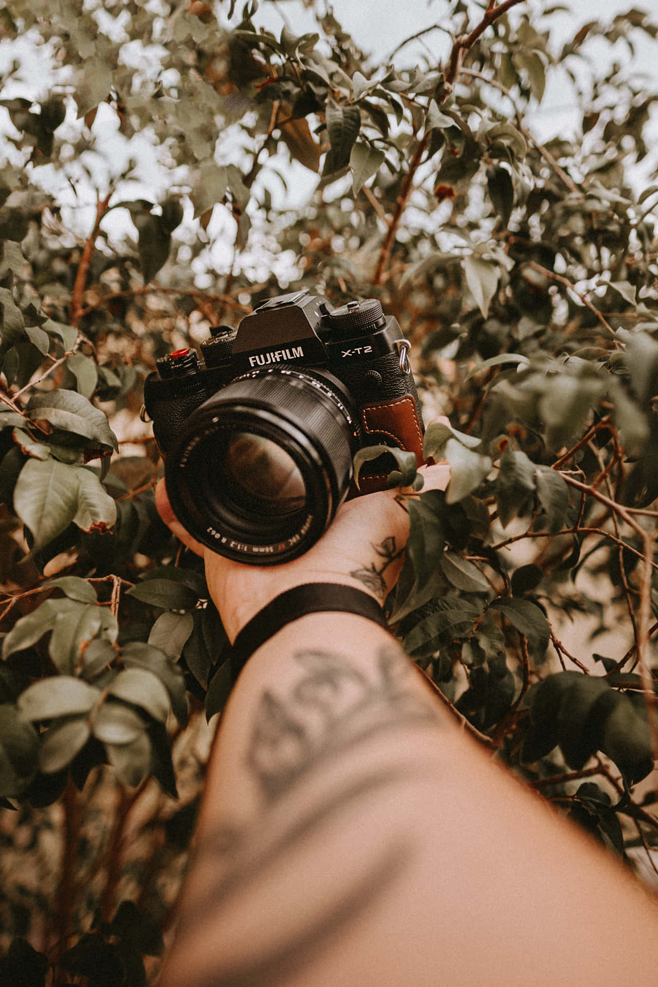 Camera And Hand Tattoo Photograph