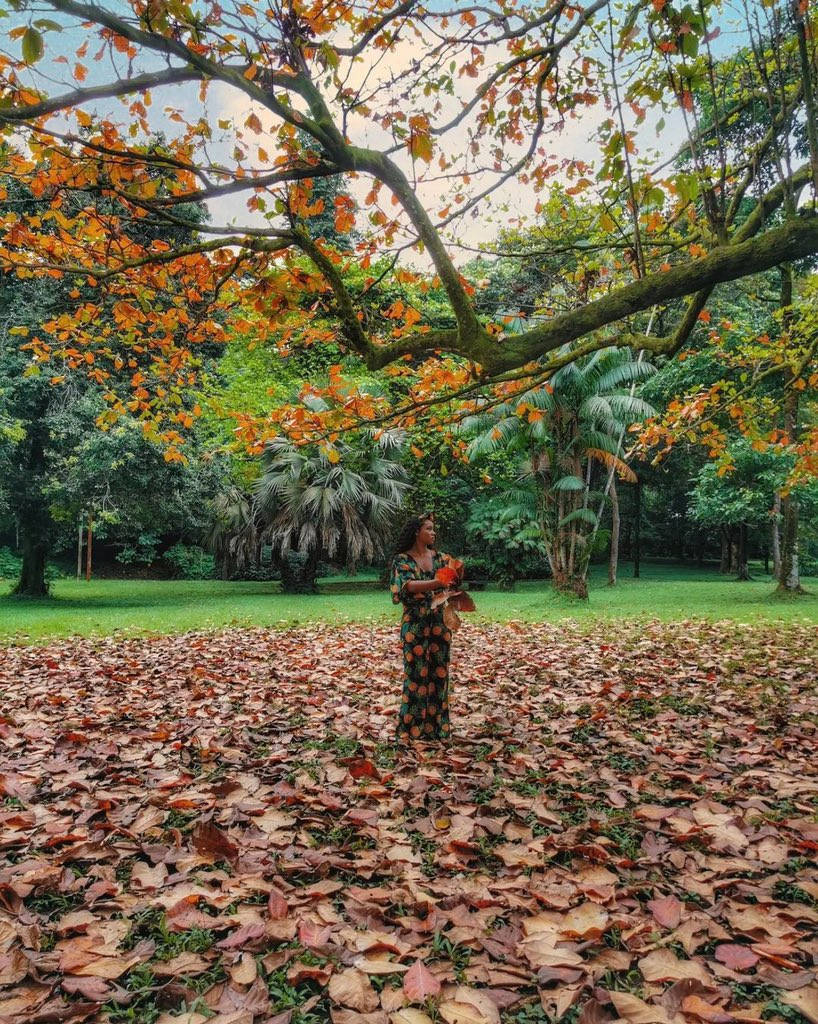 Cameroon Woman Standing Autumn Leaves