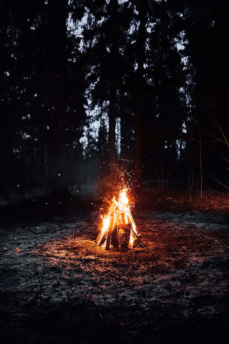 Campfire By The Forest Background