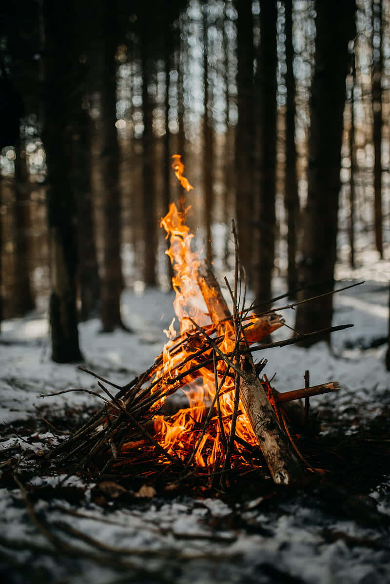 Campfire Snowy Ground Background