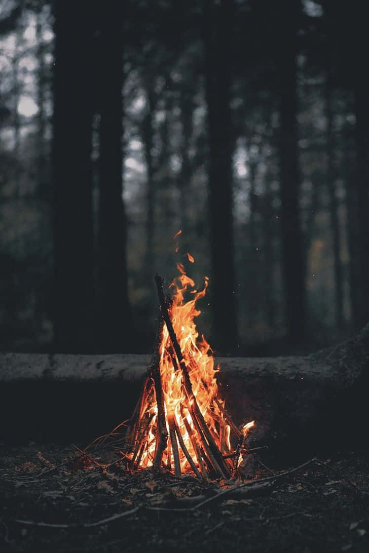 Campfirein Dark Forest.jpg Background