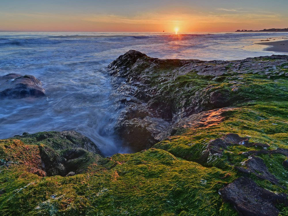 Campus Point Beach Ucsb Background