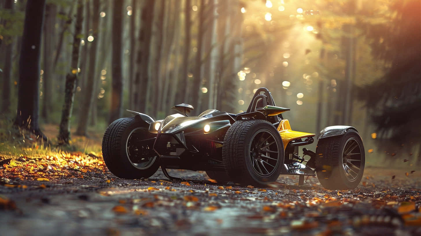 Can Am Spyder Autumn Forest Ride Background
