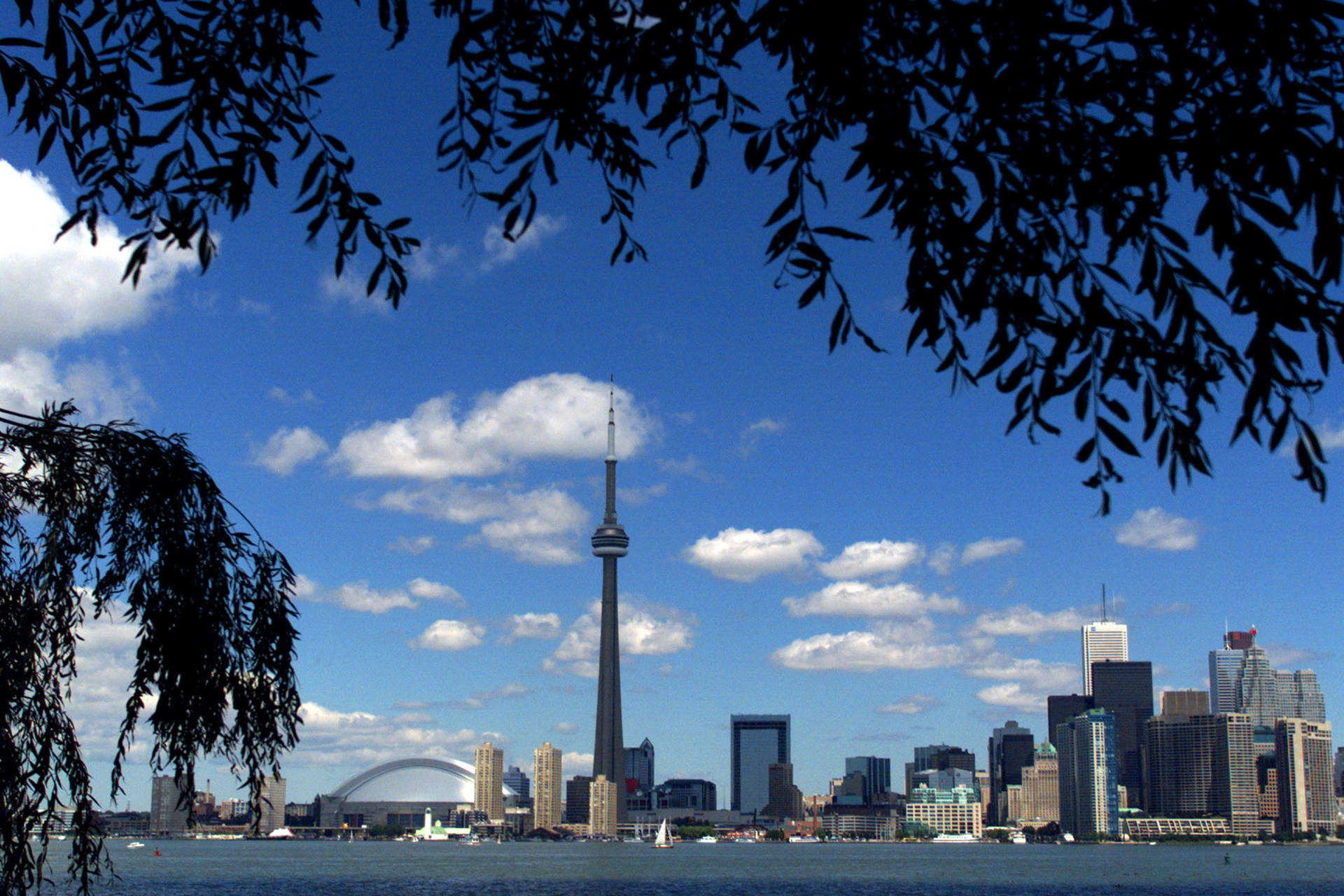 Canada Cn Tower Wide Shot Background