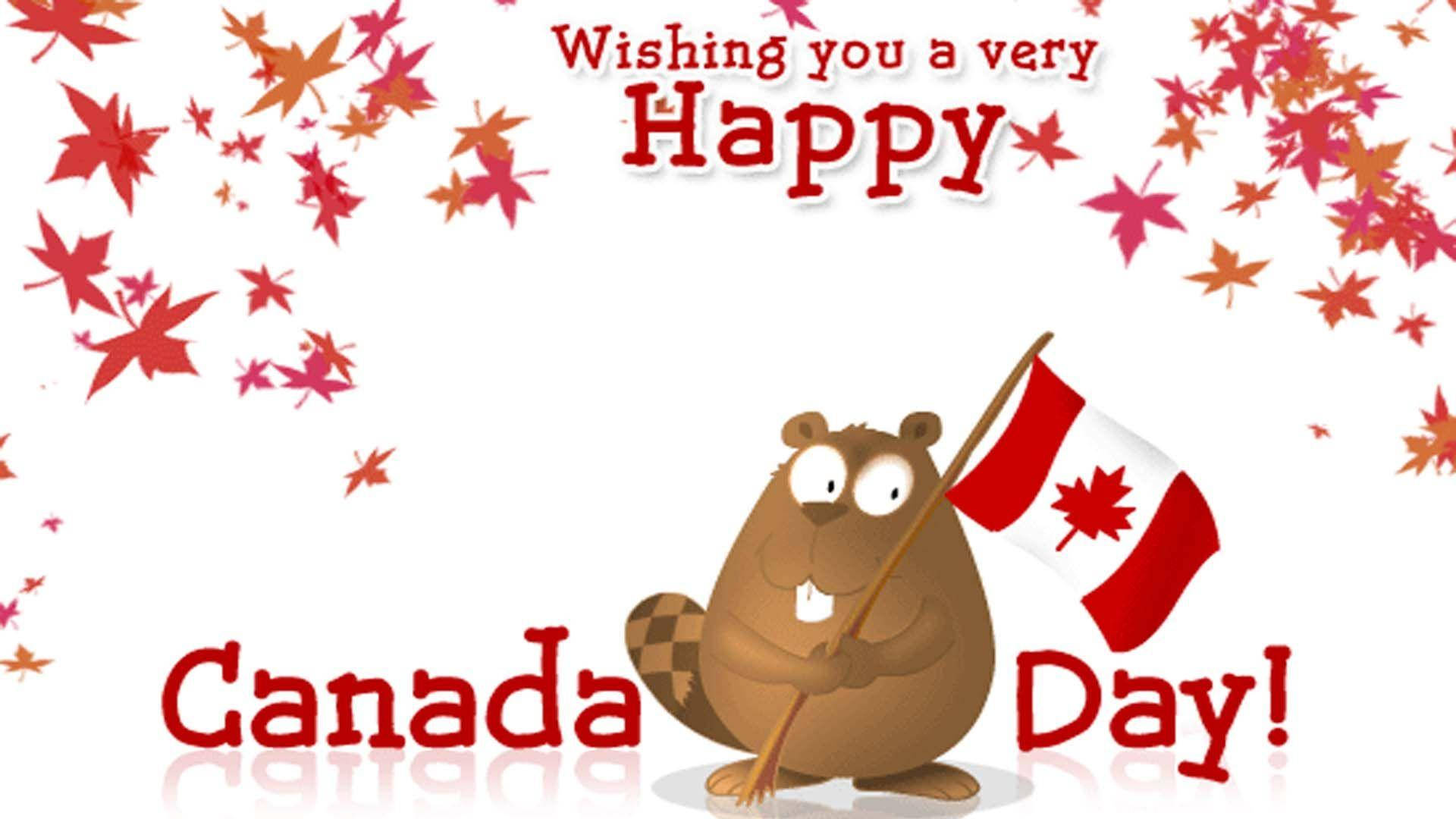 Canada Day Beaver Background