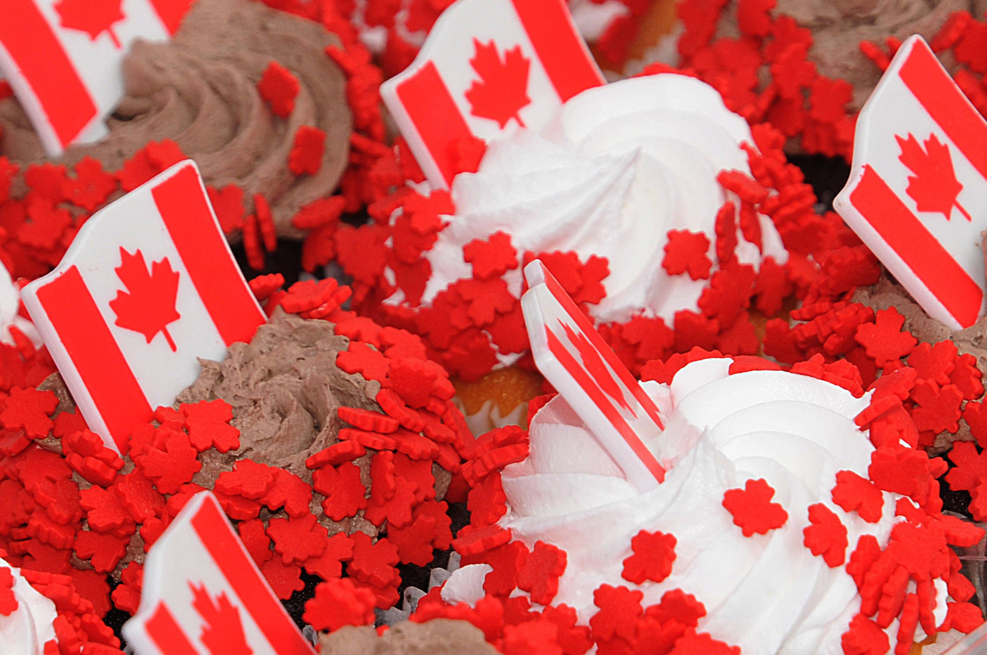 Canada Day Cupcakes Background
