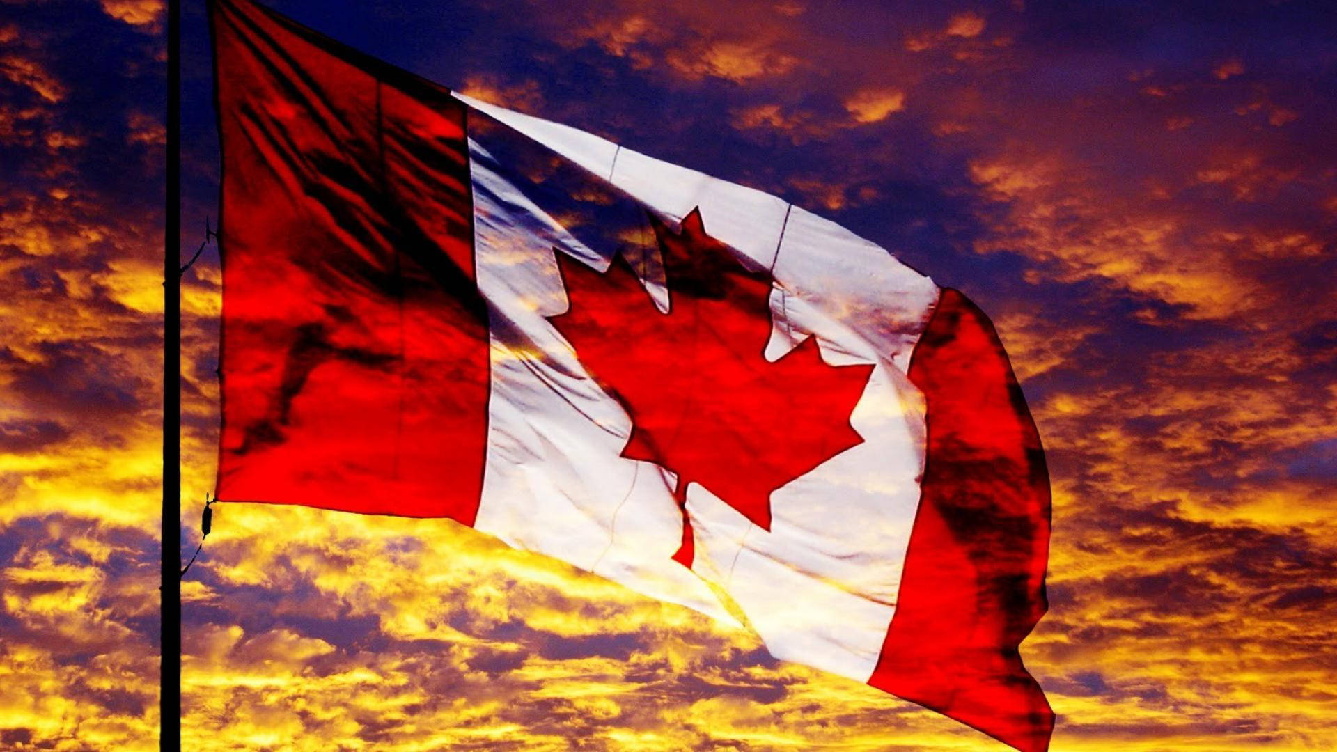 Canada Day Flag Sunset Background
