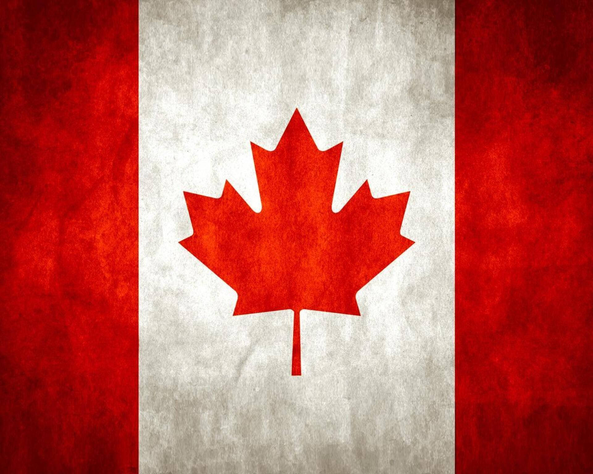 Canada Day Maple Flag Background