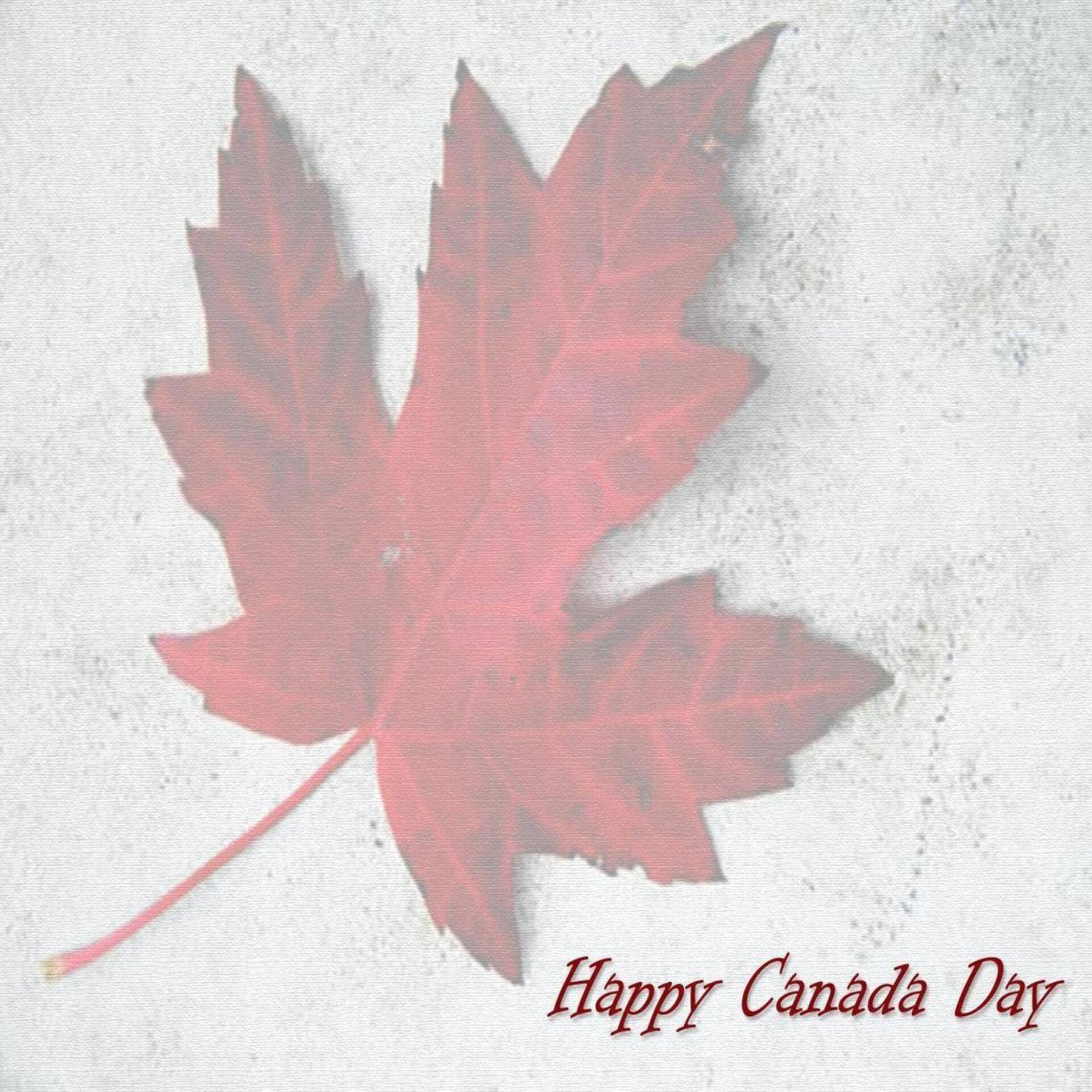 Canada Day Maple Leaf Background