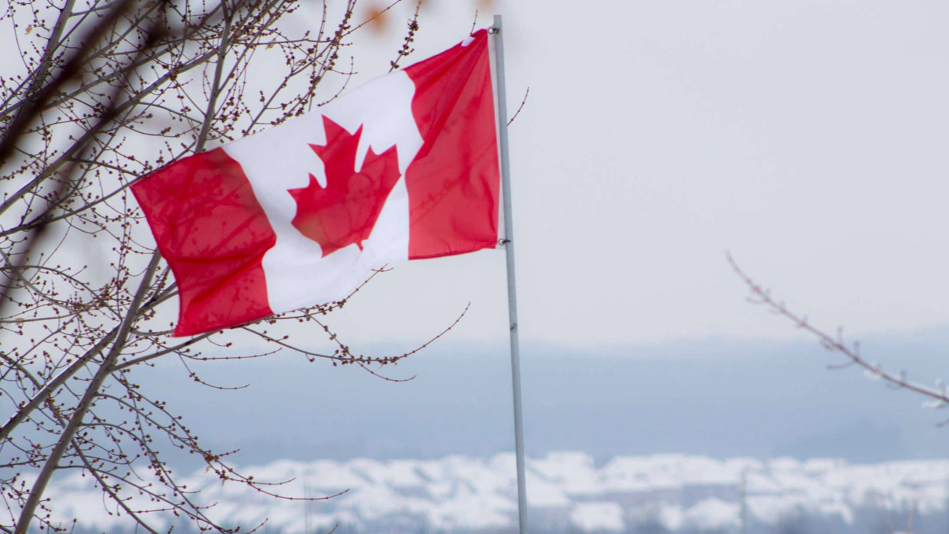 Canada Flag At Snow Background