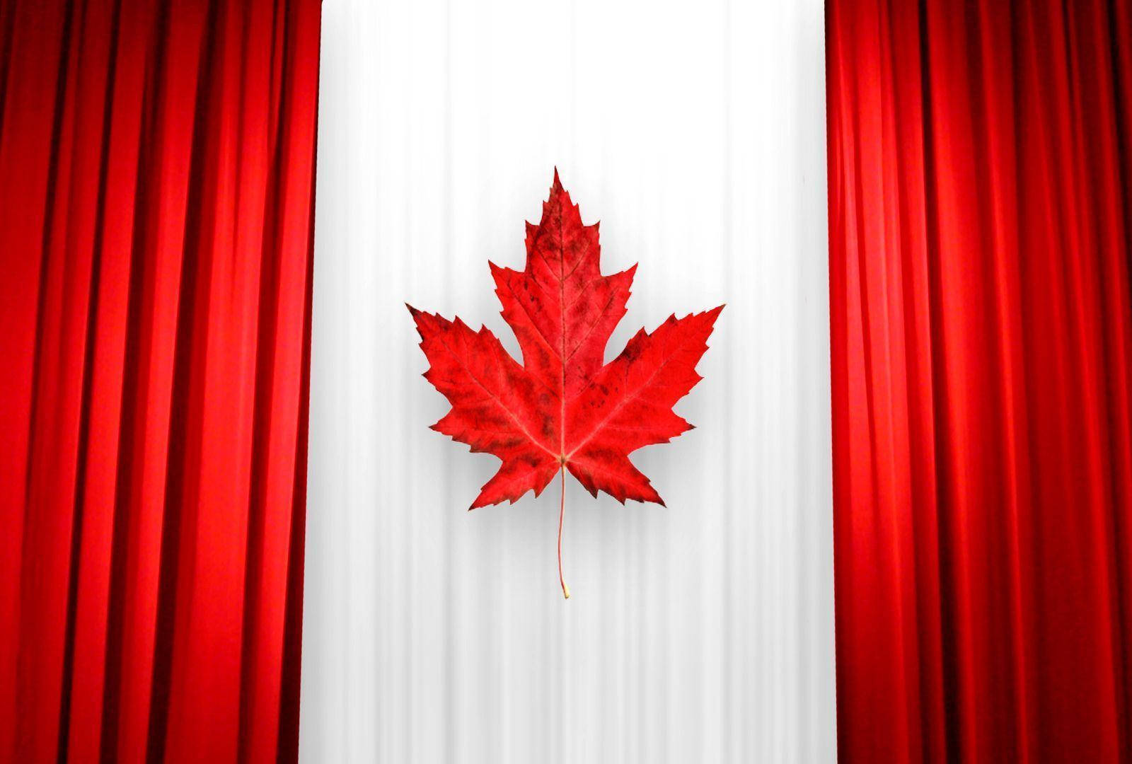 Canada Flag Curtain Background