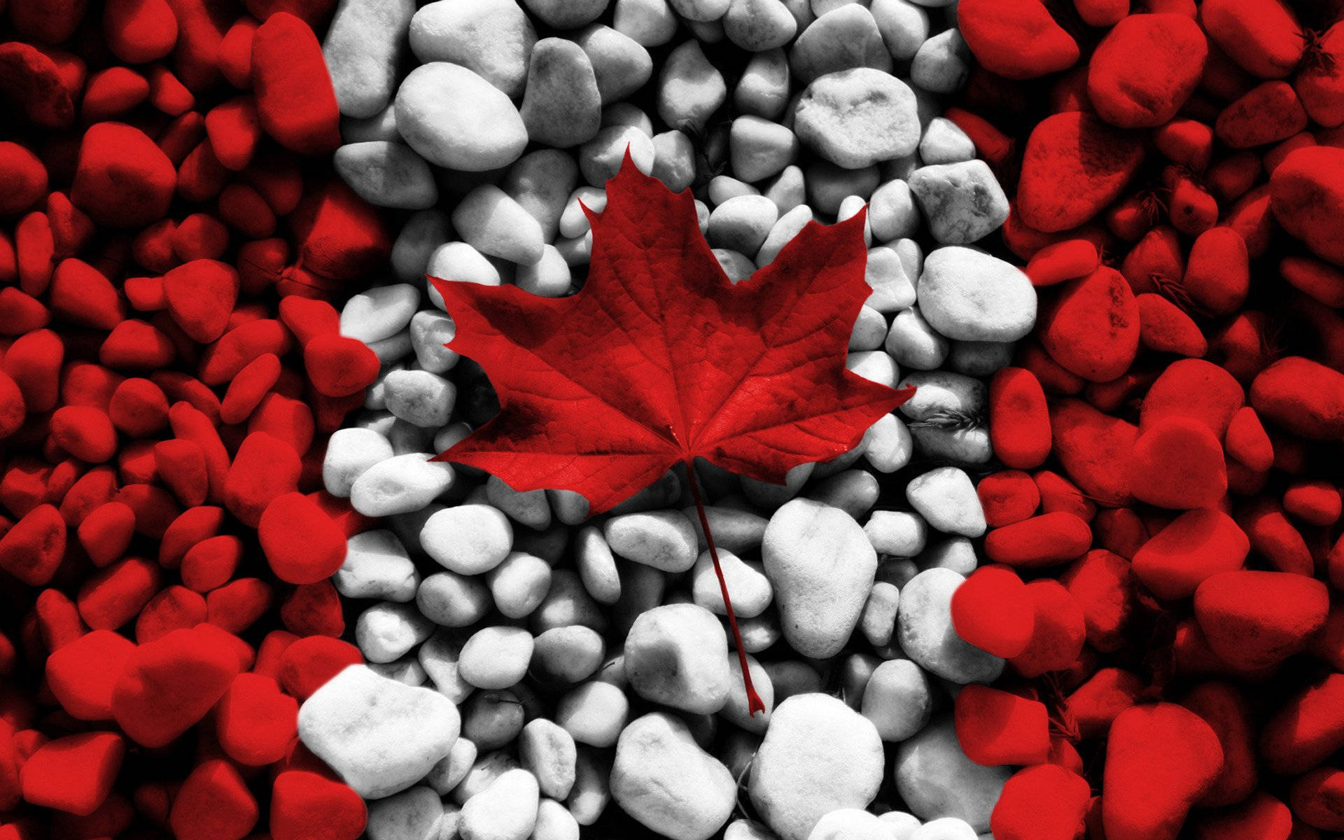 Canada Flag Maple Leaf Background