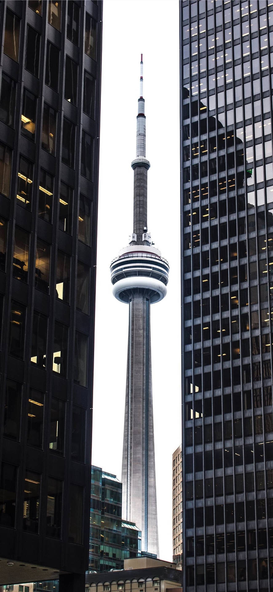 Canada's Cn Tower Portrait Background