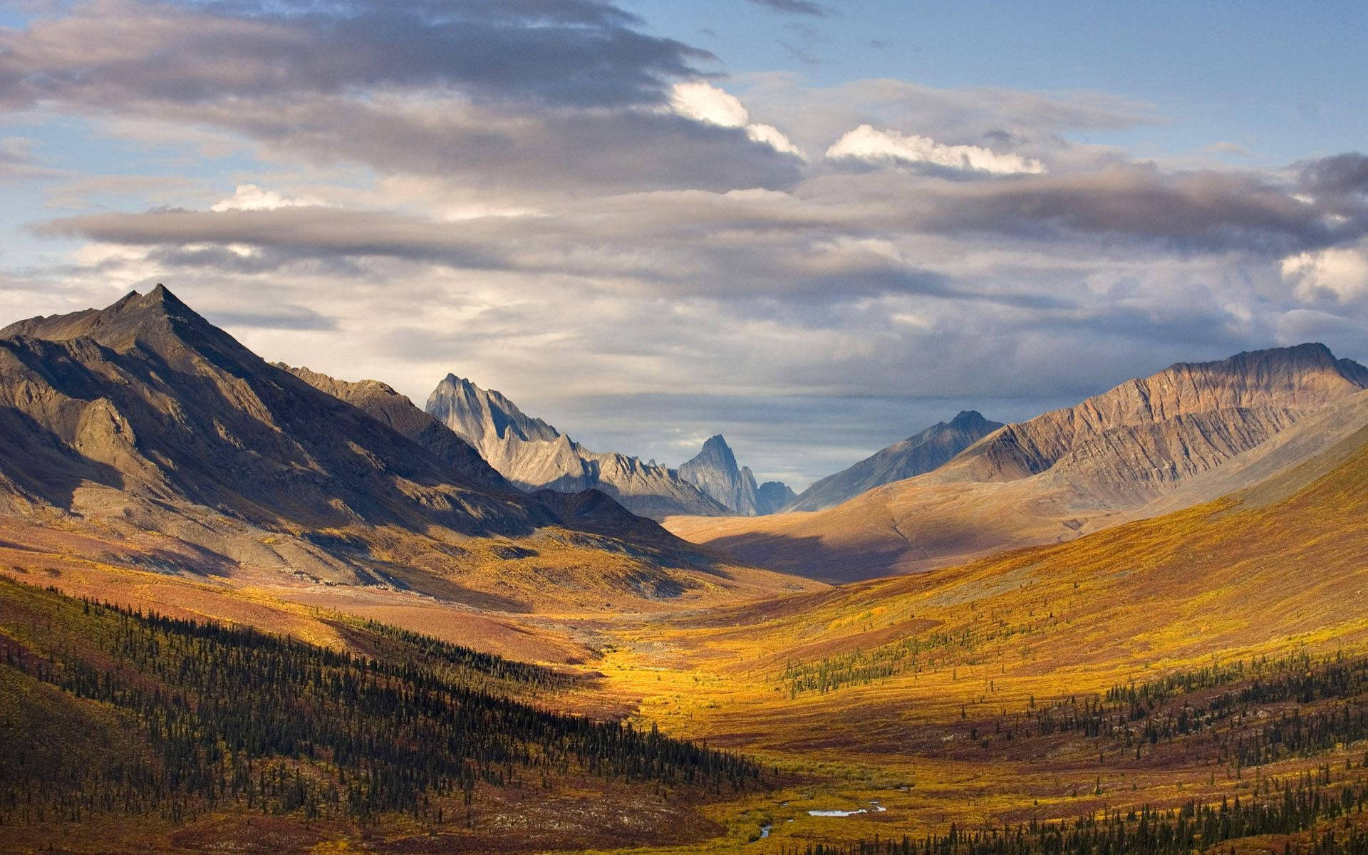 Canada Yukon Nature