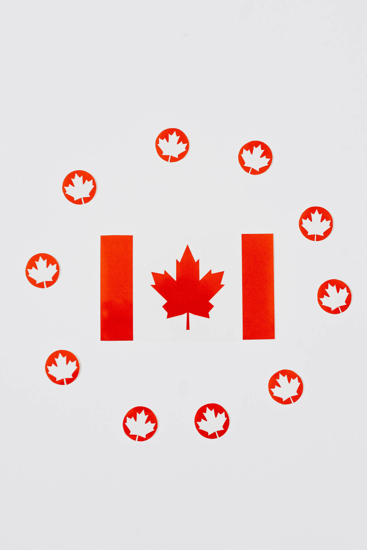 Canadian Flag Maple Leaves Background