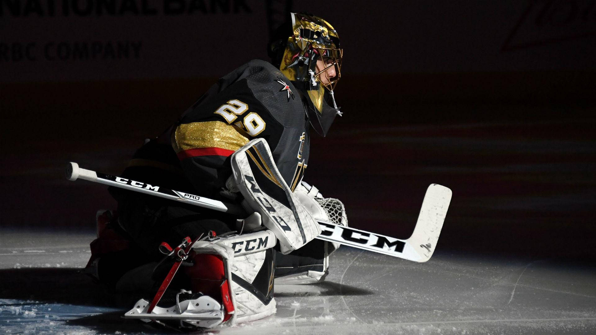 Canadian Goaltender Marc Andre Fleury Background