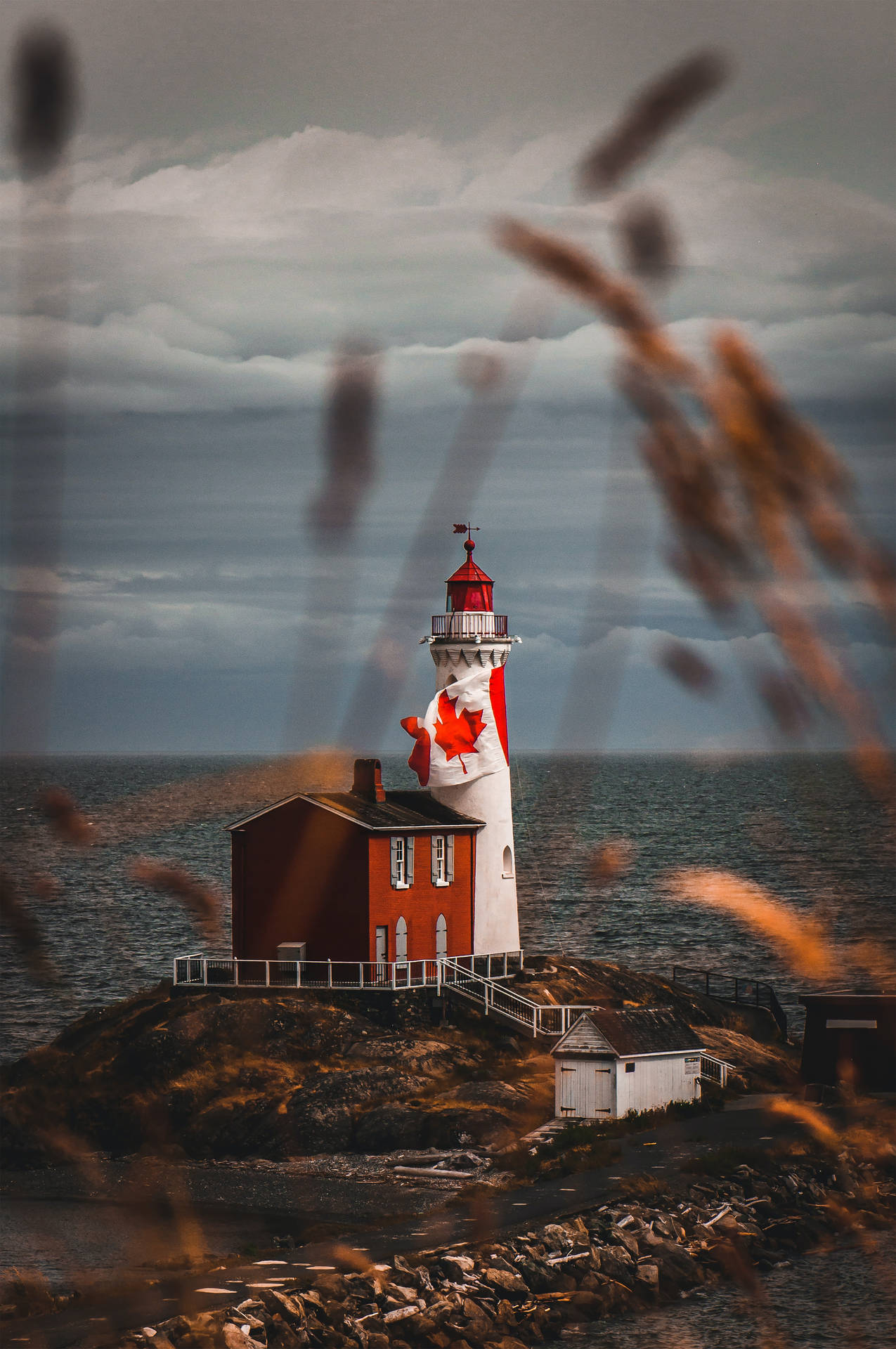 Canadian Lighthouse On Green Grass Field Background