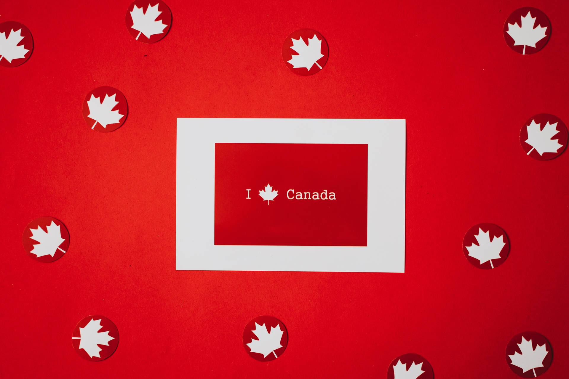 Canadian Maple Leaves Love Background