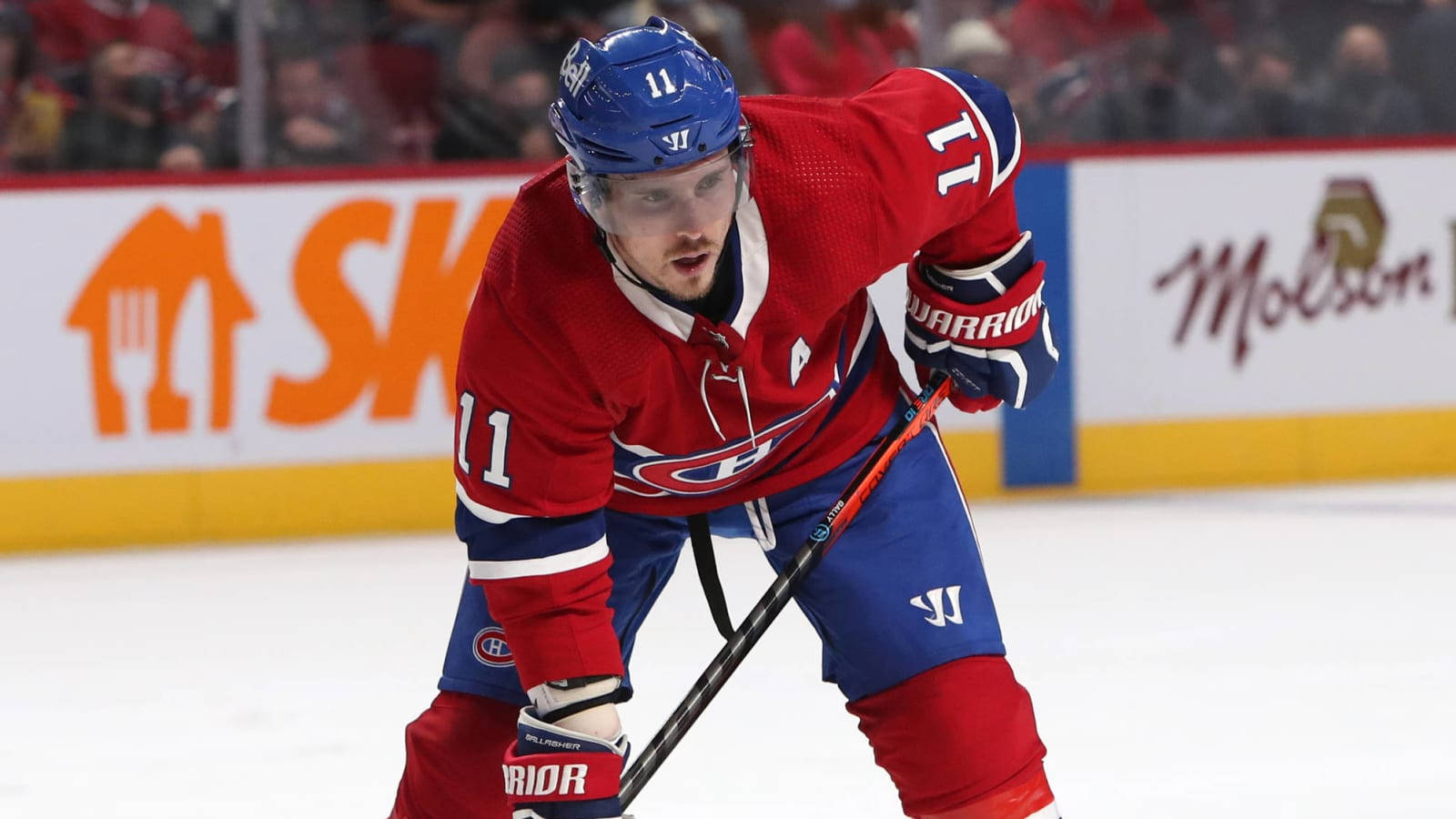 Canadian Professional Brendan Gallagher