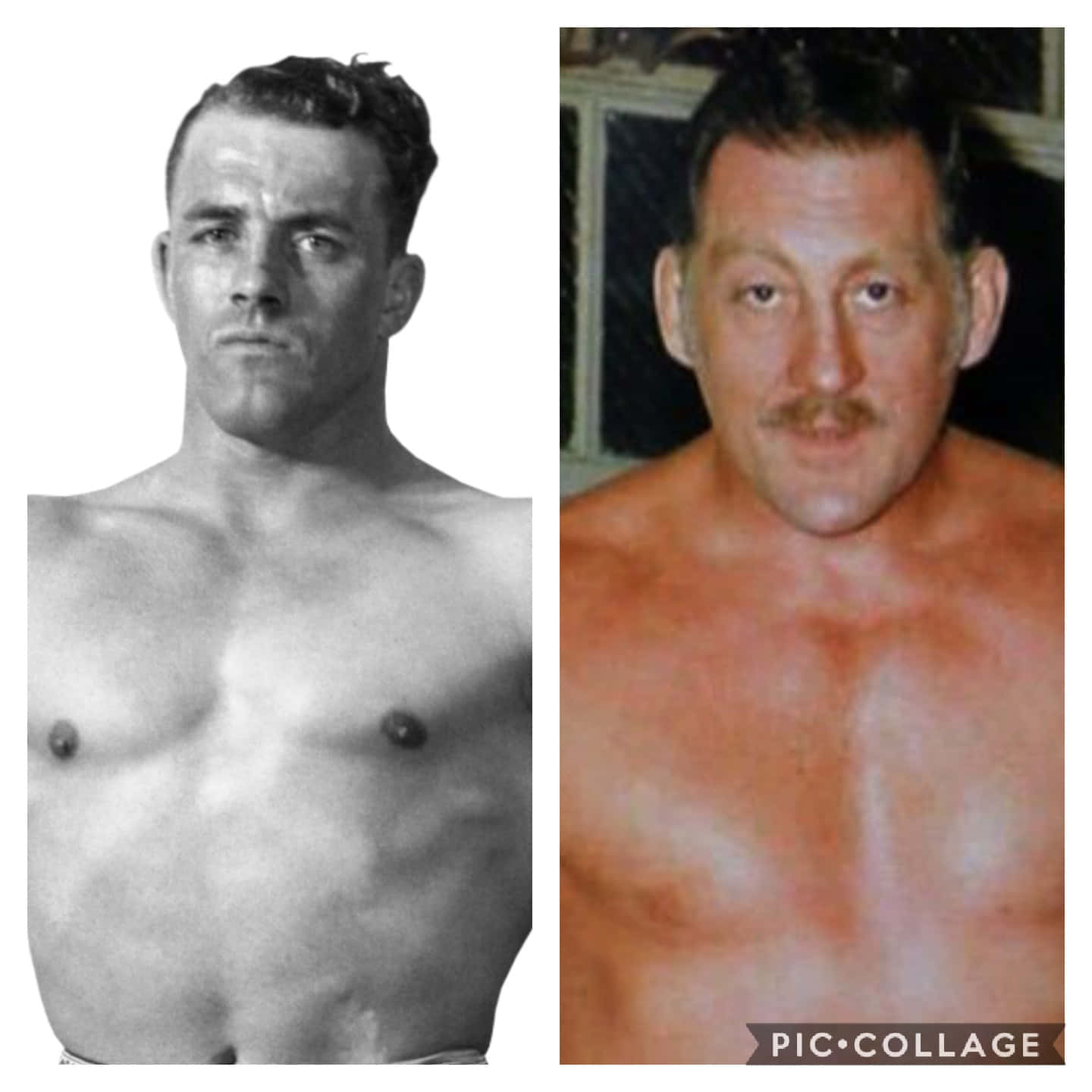 Canadian Professional Wrestler Stu Hart And Karl Gotch Background