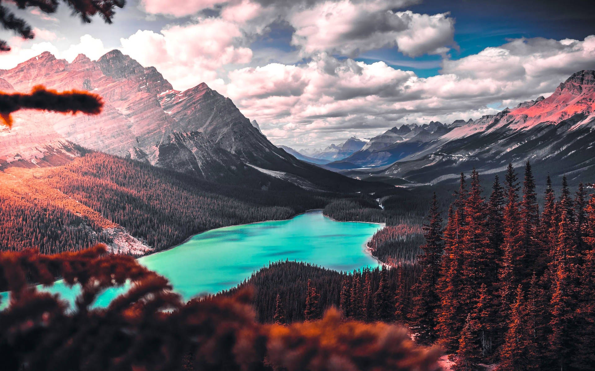 Canadian Rockies Forest Lake Background