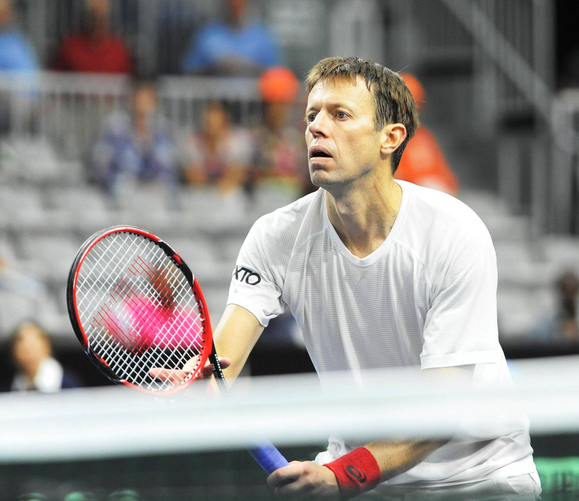 Canadian Tennis Pro - Daniel Nestor Behind The Net Background