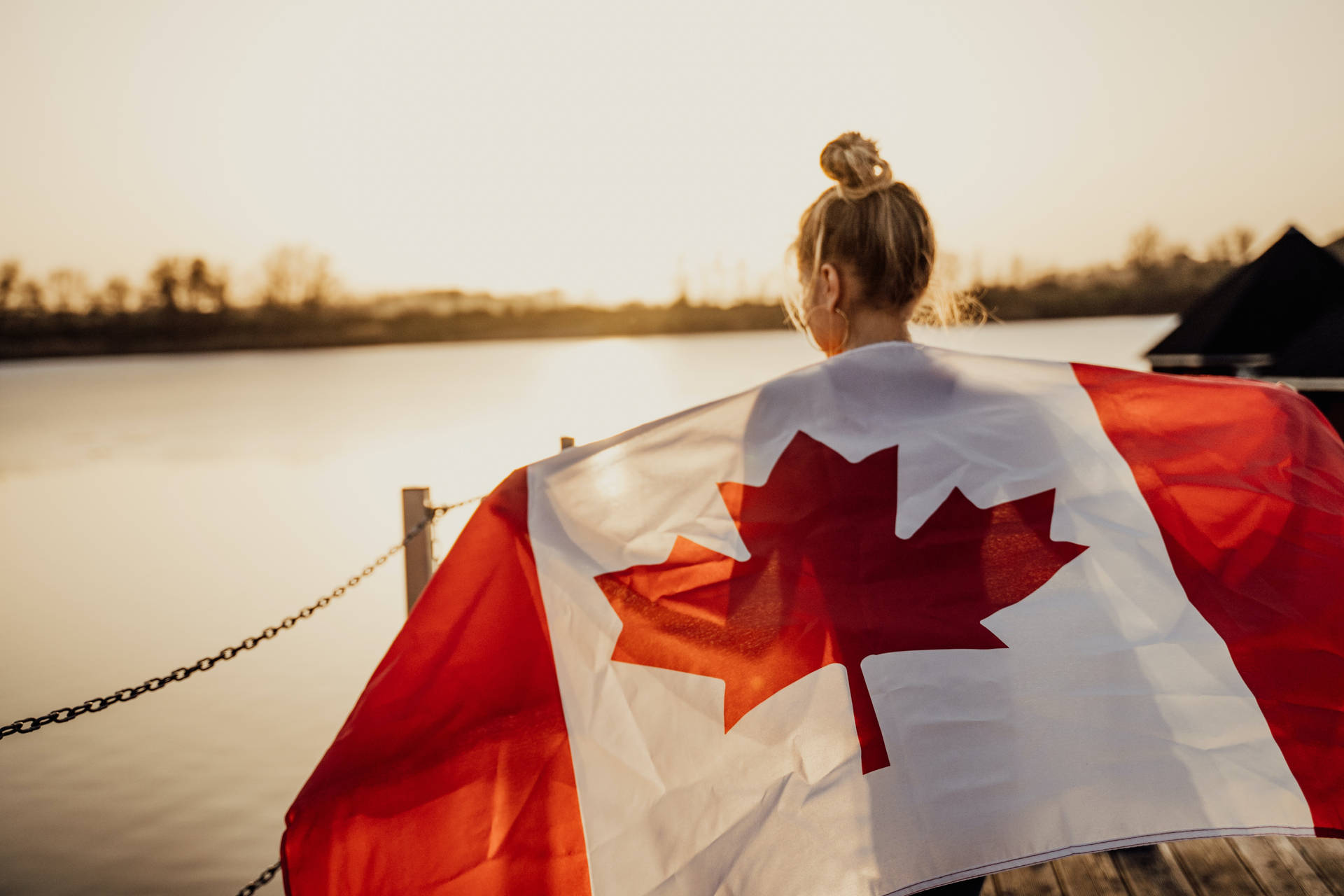 Canadian Zoomed In Flag