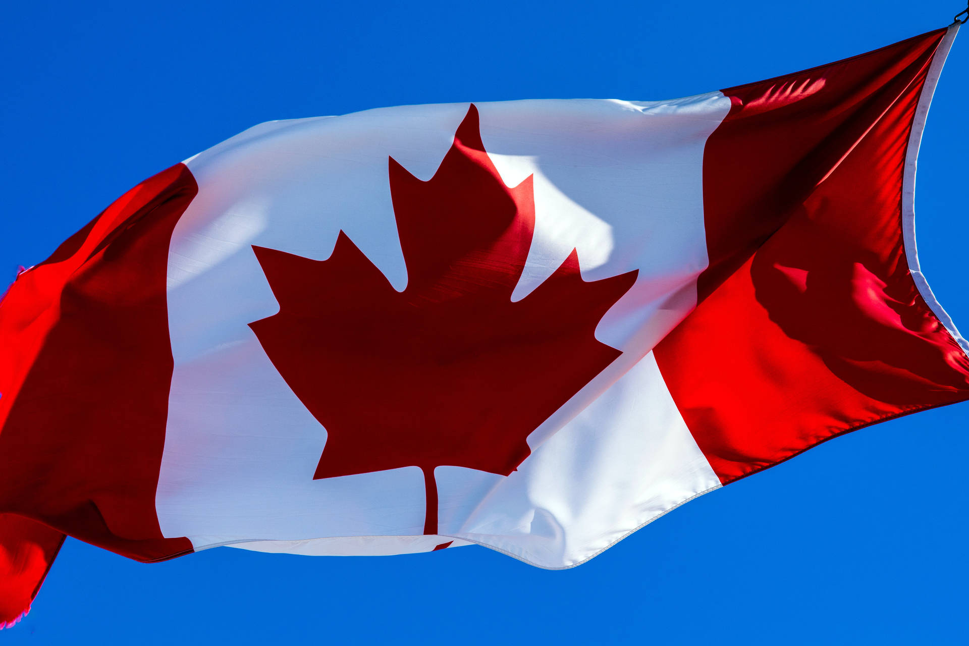 Canadian Zoomed In Flag