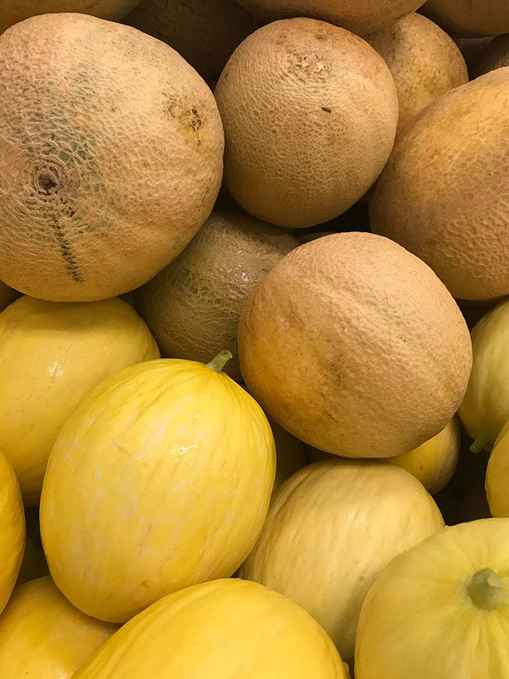 Canary Melon And Earls Muskmelon Background