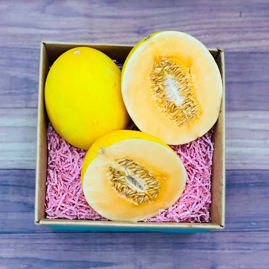 Canary Melon In Gift Box