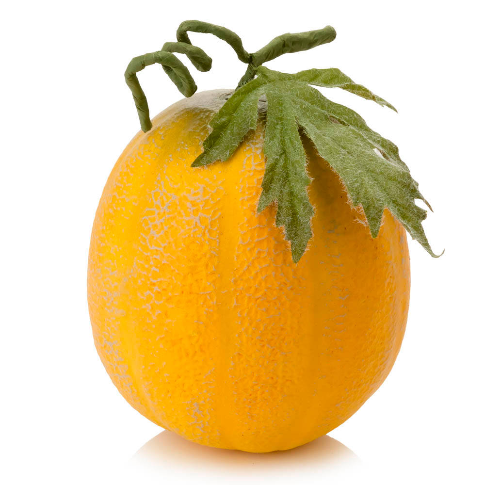 Canary Melon In Orange Skin Background