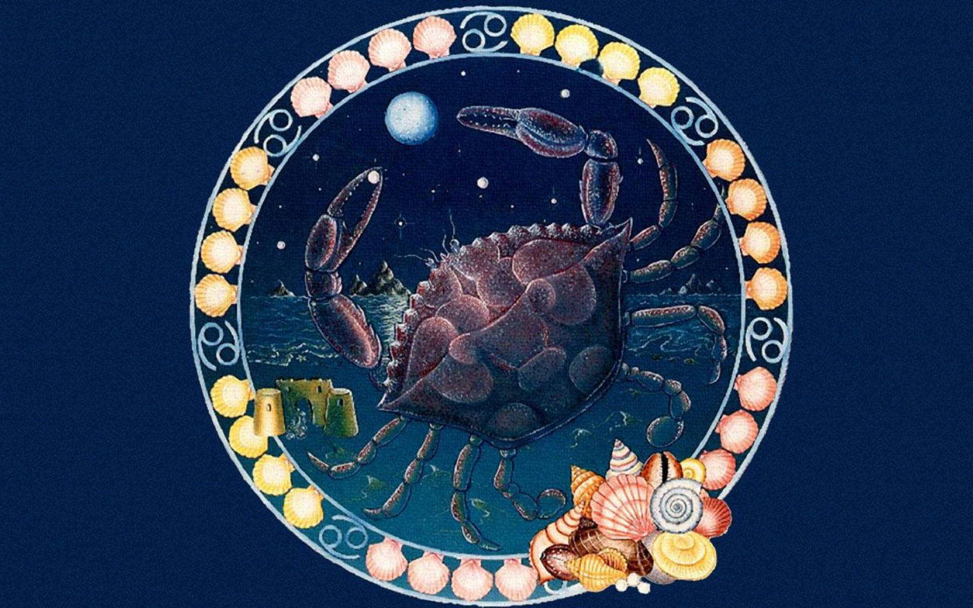 Cancer Zodiac Crab And Shells Background