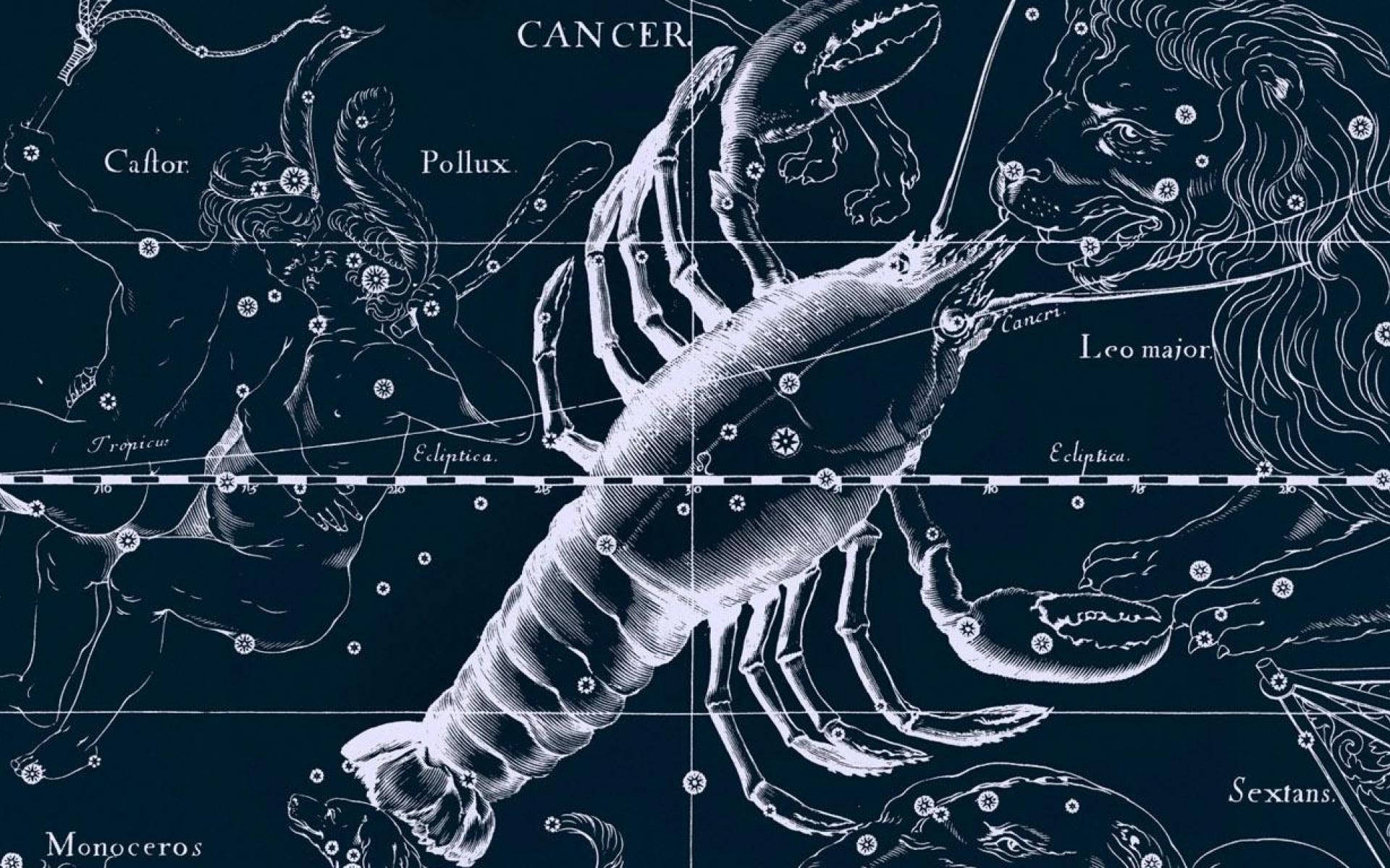 Cancer Zodiac Lobster And Constellations Background