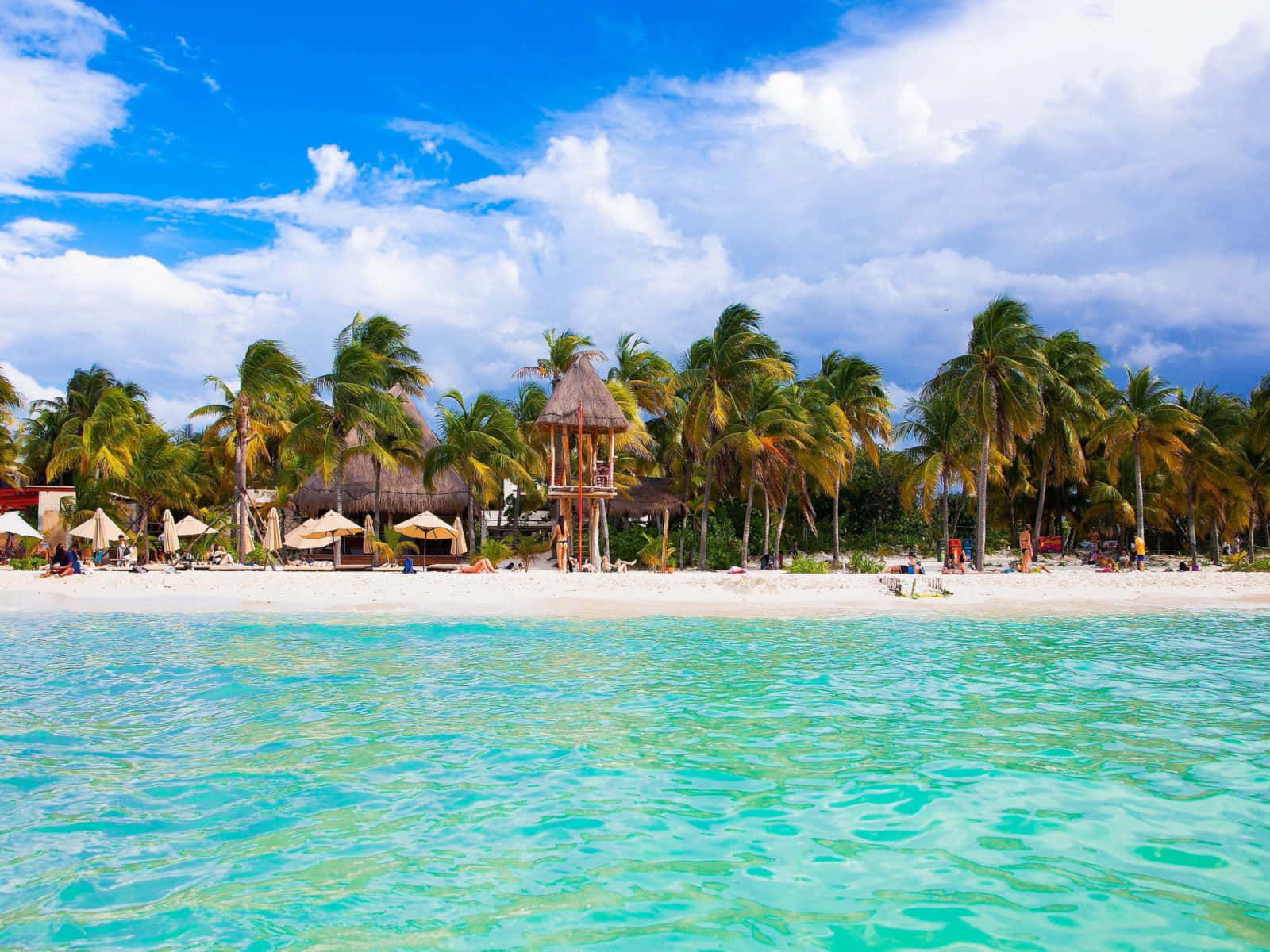 Cancún, Mexico Beach Trees Background