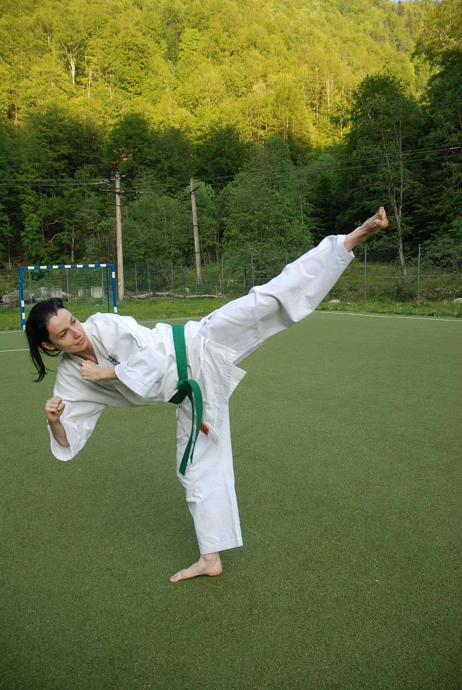 Candid Taekwondo Green Belt Side Kick Background