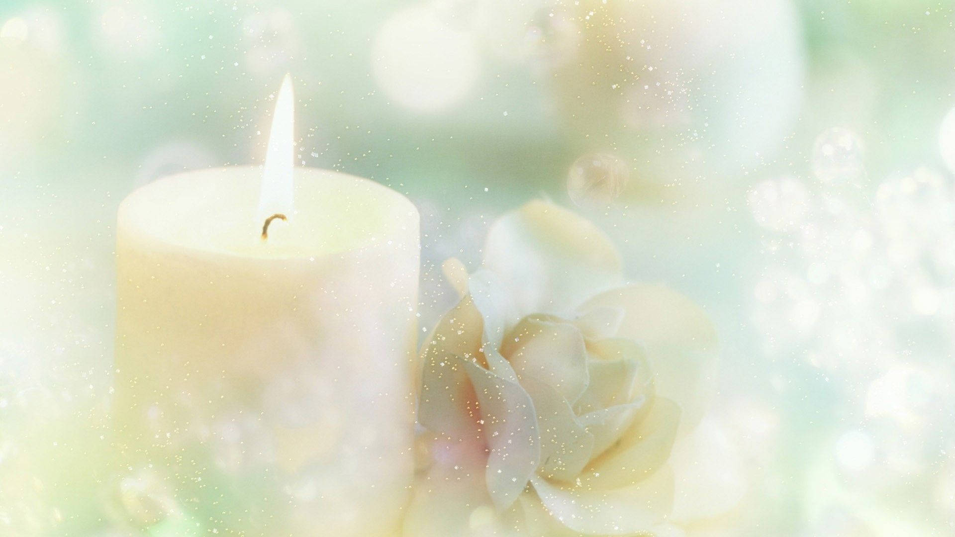 Candle And White Rose Background