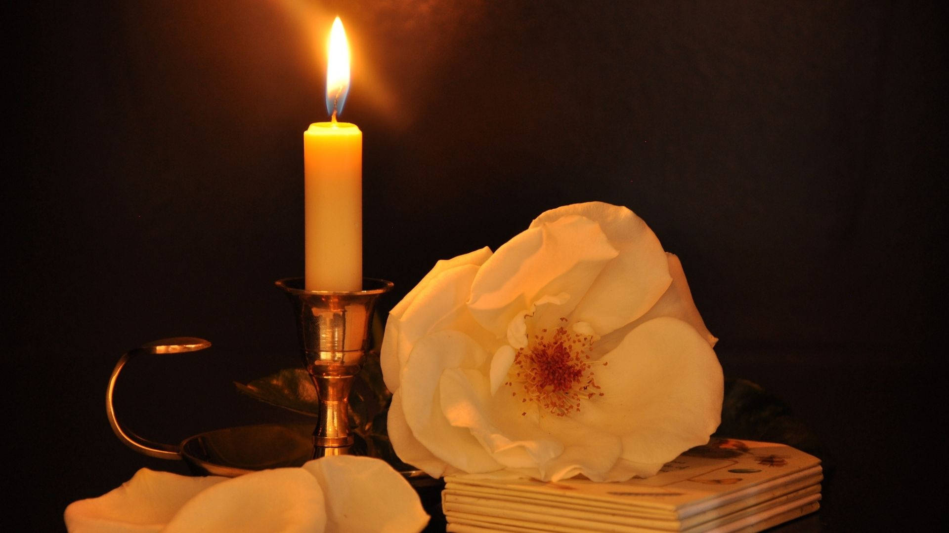 Candle Beside The White Flower Background