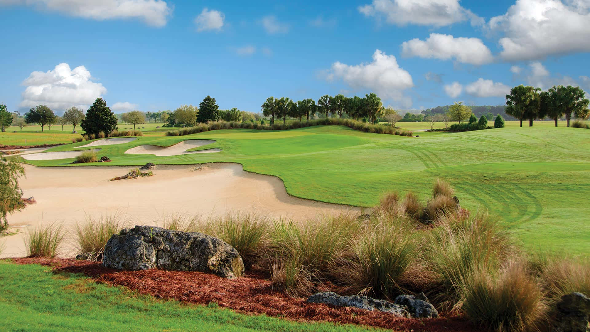 Candler Hills Florida Golf Course Background