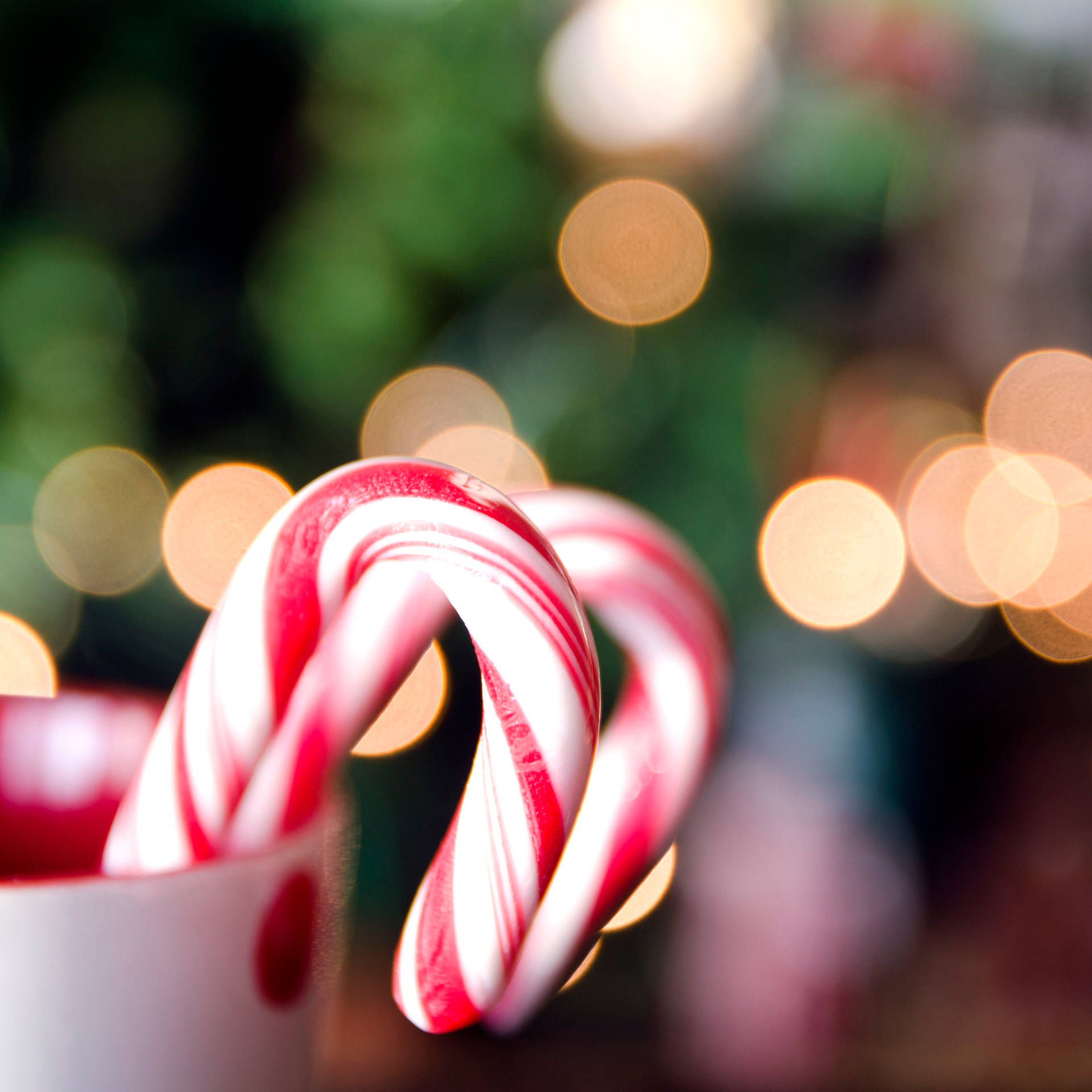 Candy Cane Christmas Lights Background