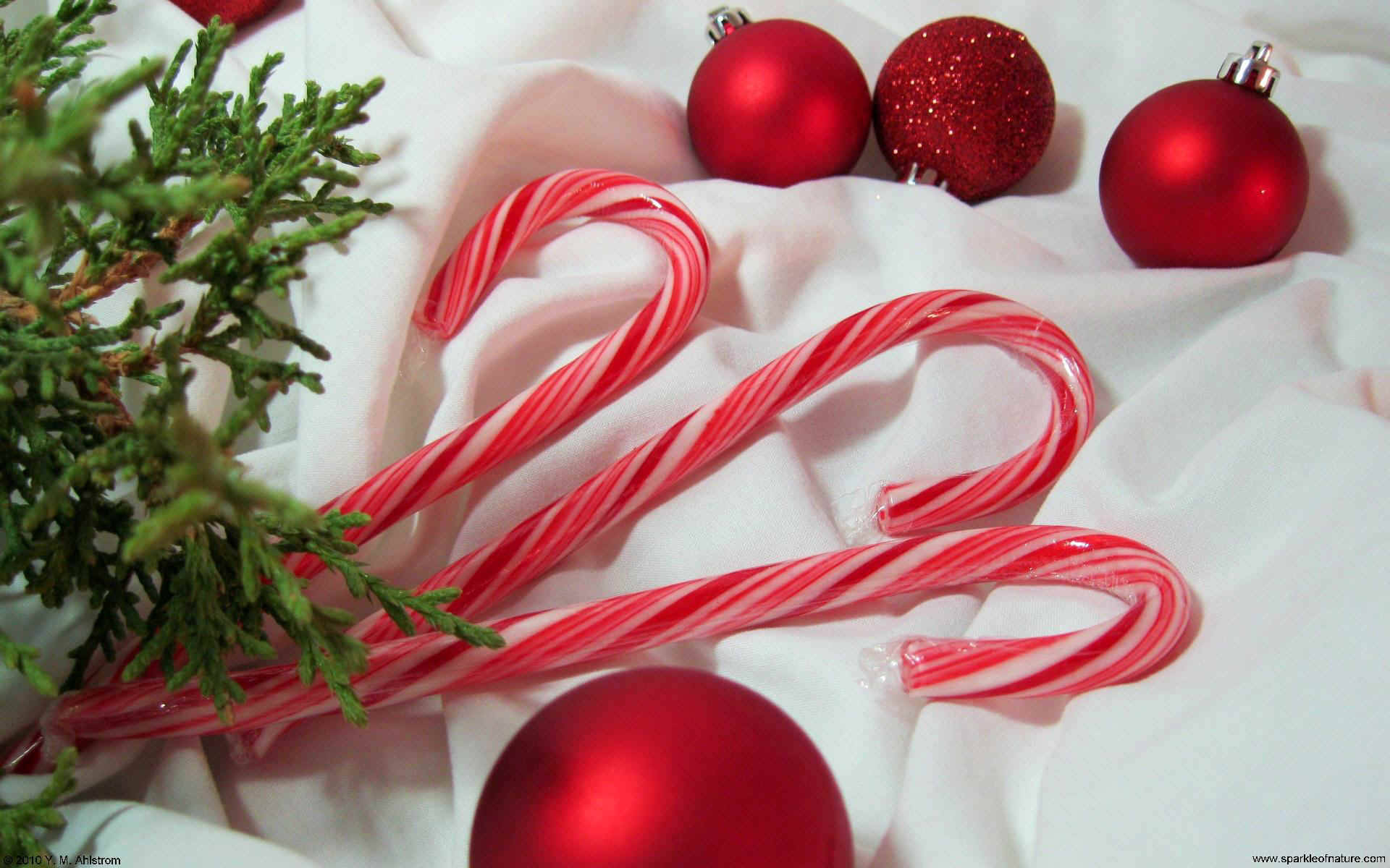 Candy Canes In White Fabric Background