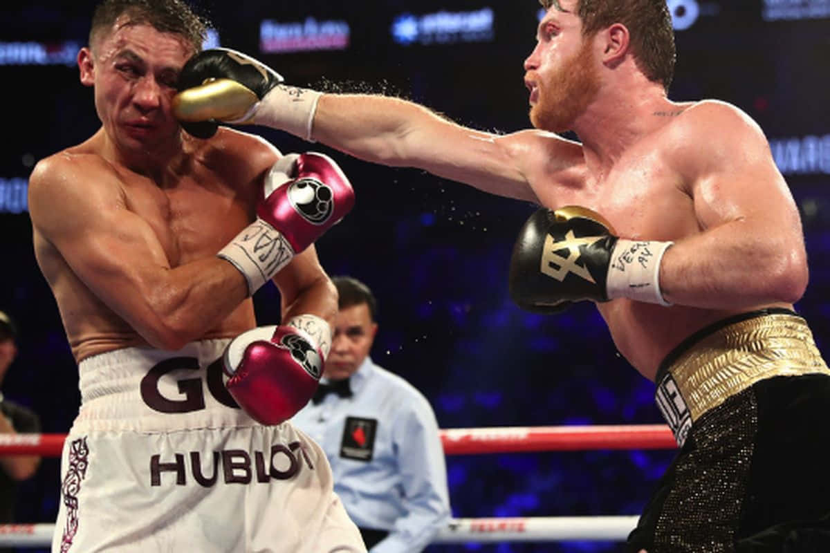 Canelo Alvarez Boxing Background