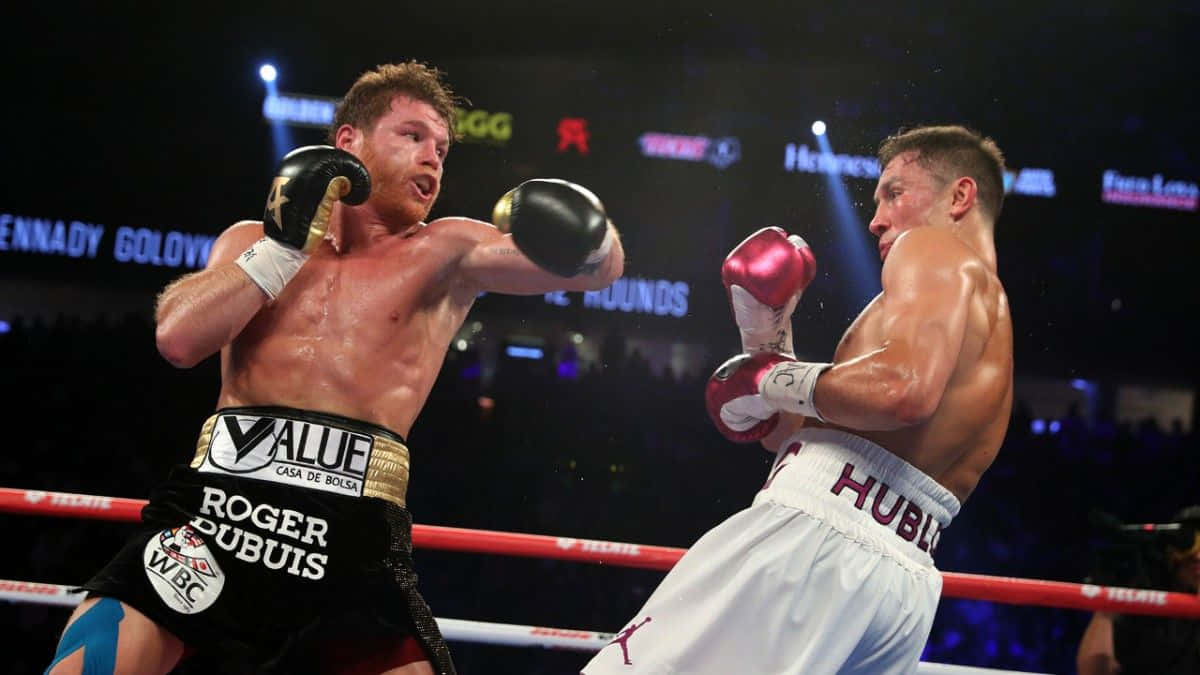 Canelo Alvarez, Boxing Superstar Background