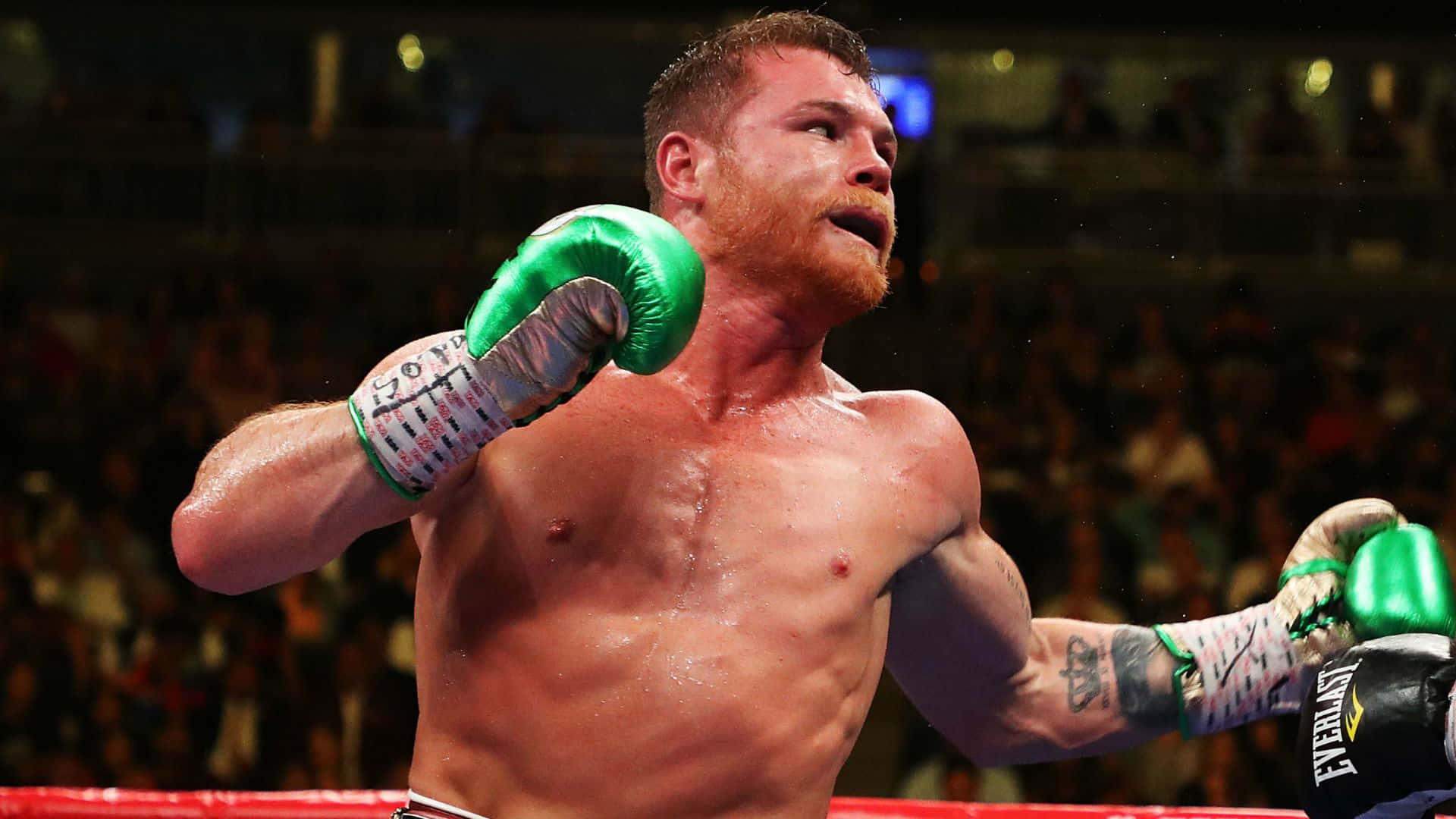 Canelo Alvarez In Match Background